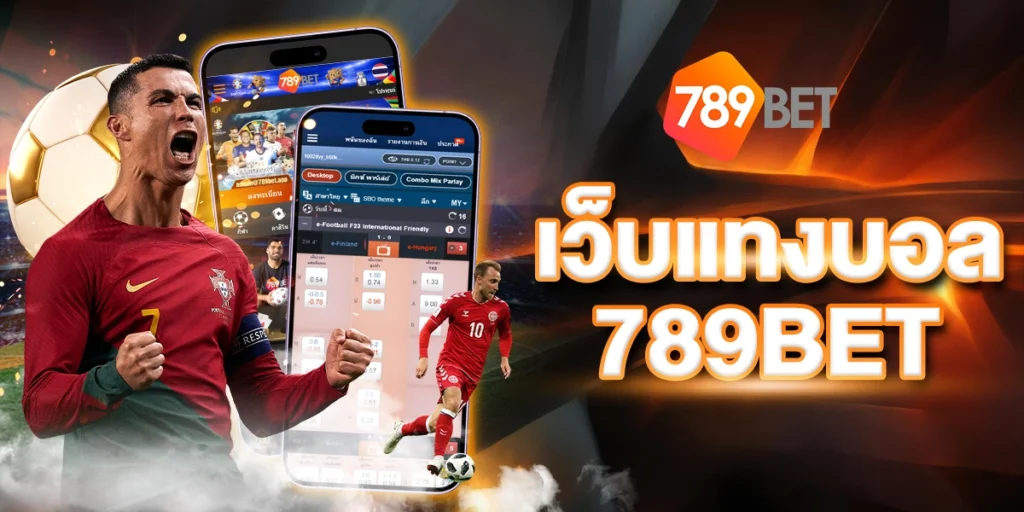 789BETเว็บแทงบอล VIP